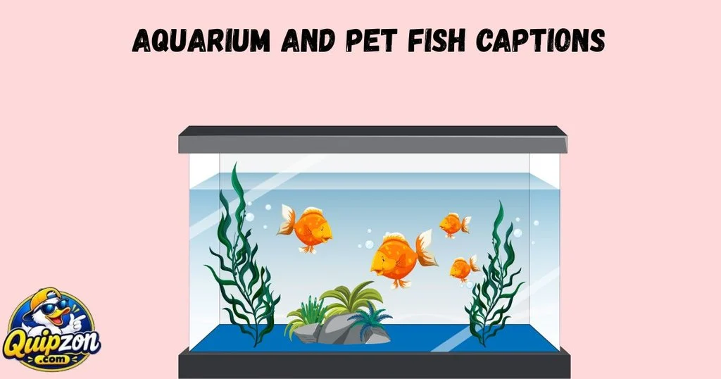Aquarium And Pet Fish Captions
