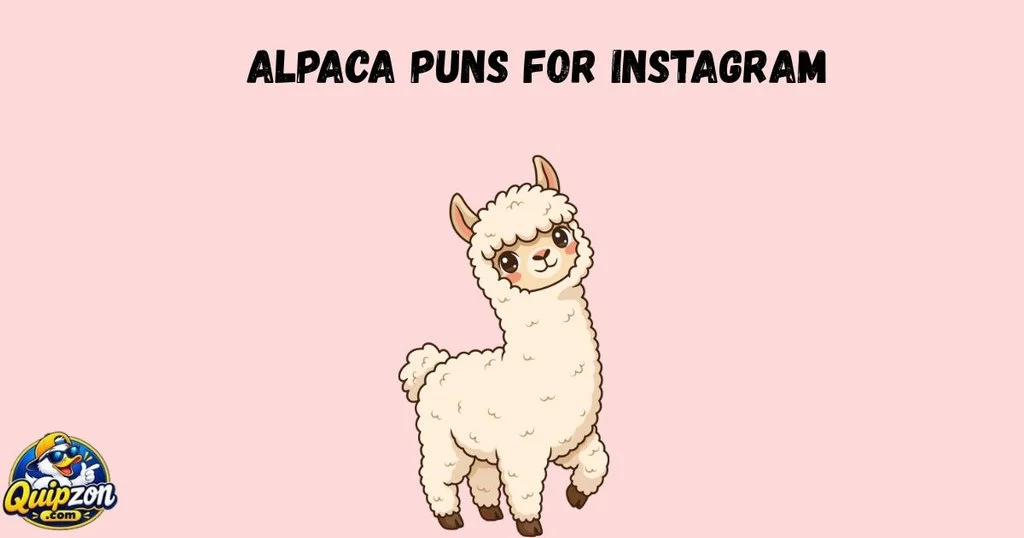 Alpaca Puns For Instagram